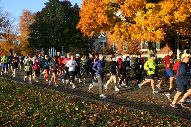 A group of people running on a tree-lined street during an autumn day. The leaves on the trees are vibrant shades of orange and yellow. The runners are dressed in various athletic wear and appear to be participating in a race or marathon.