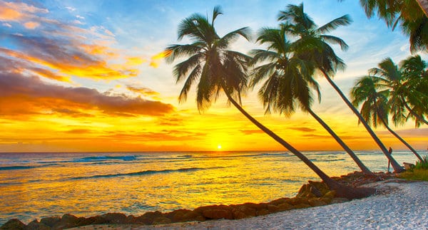 A stunning sunset over a tropical beach with towering palm trees leaning towards the water. The sky is filled with warm hues of orange, yellow, and blue reflecting on the calm ocean. Smooth rocks and white sand cover the shore.