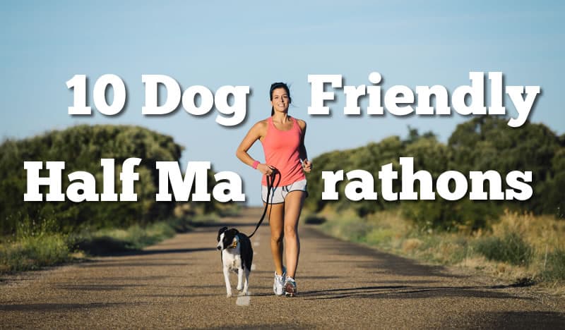 A woman in a pink tank top and shorts runs on a path lined with greenery, holding a leash attached to a black and white dog. The text on the image reads "10 Dog-Friendly Half Marathons.