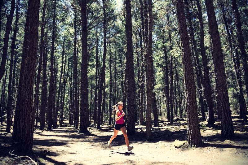 A person in athletic clothing is running on a dirt trail through a dense forest of tall, straight trees. Sunlight filters through the branches, casting dappled shadows on the ground. The runner appears focused and determined.