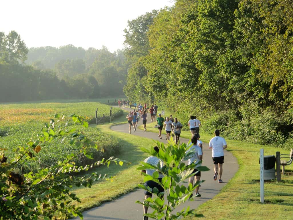 A group of runners are jogging along a winding path through a lush, green park on a sunny day. The path is surrounded by vibrant trees and grassy fields, and a few people are spaced out along the trail, creating a sense of movement and activity.