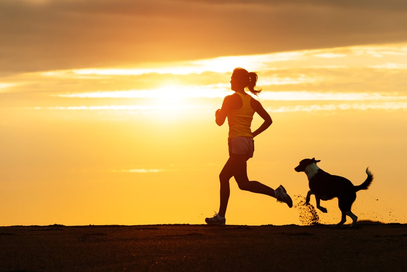 Silhouette of a person running alongside a dog on a sandy beach at sunrise or sunset. The sky is illuminated with a warm, golden hue, creating a serene and energetic atmosphere.