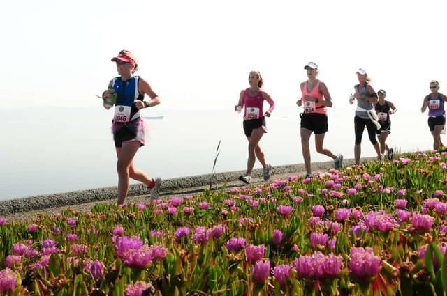 A group of runners participating in a marathon on a path along the coast. The foreground features vibrant pink flowers, and the ocean and sky are visible in the background. The runners are wearing race bibs and athletic gear.