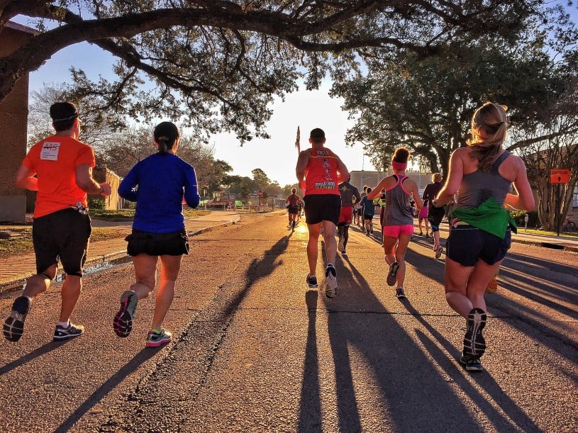 A group of runners participating in a race on a sunny day. They are running on a paved road lined with trees, casting long shadows. The runners wear various athletic attire and race bibs, heading towards a checkpoint marked by orange signs.