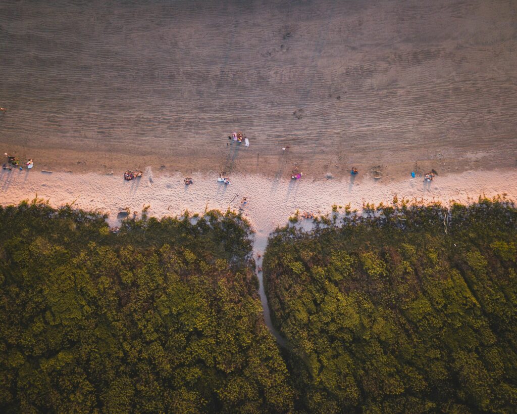 A sunset gathering in the Playa Grande, Guanacaste Province, Costa Rica