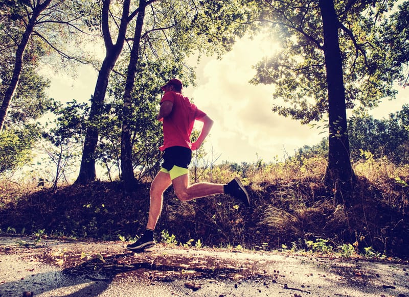 A man wearing a red shirt and black shorts is running on a tree-lined path under a bright, sunny sky. The sunlight filters through the leaves, casting dappled shadows on the ground. He is focused and appears to be in mid-stride, surrounded by natural scenery.