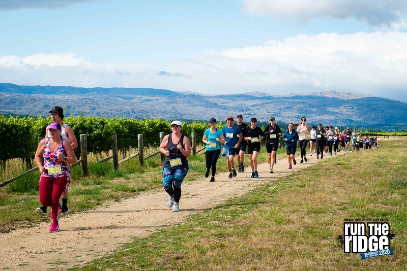 McArthur Ridge Vineyard Run The Ridge