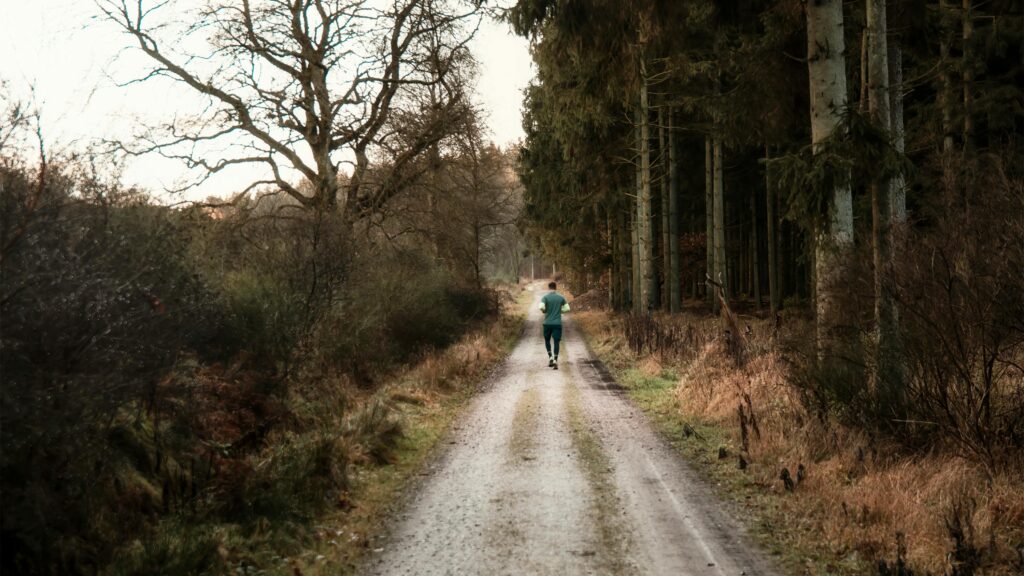 Trail Half Marathons in Forests