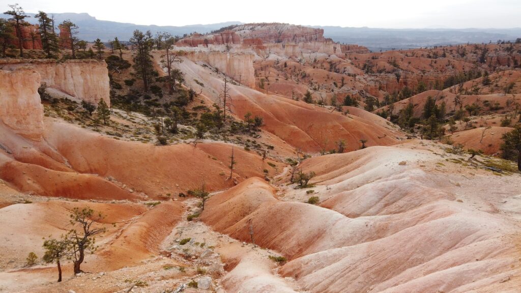 Scenic Utah Half Marathons