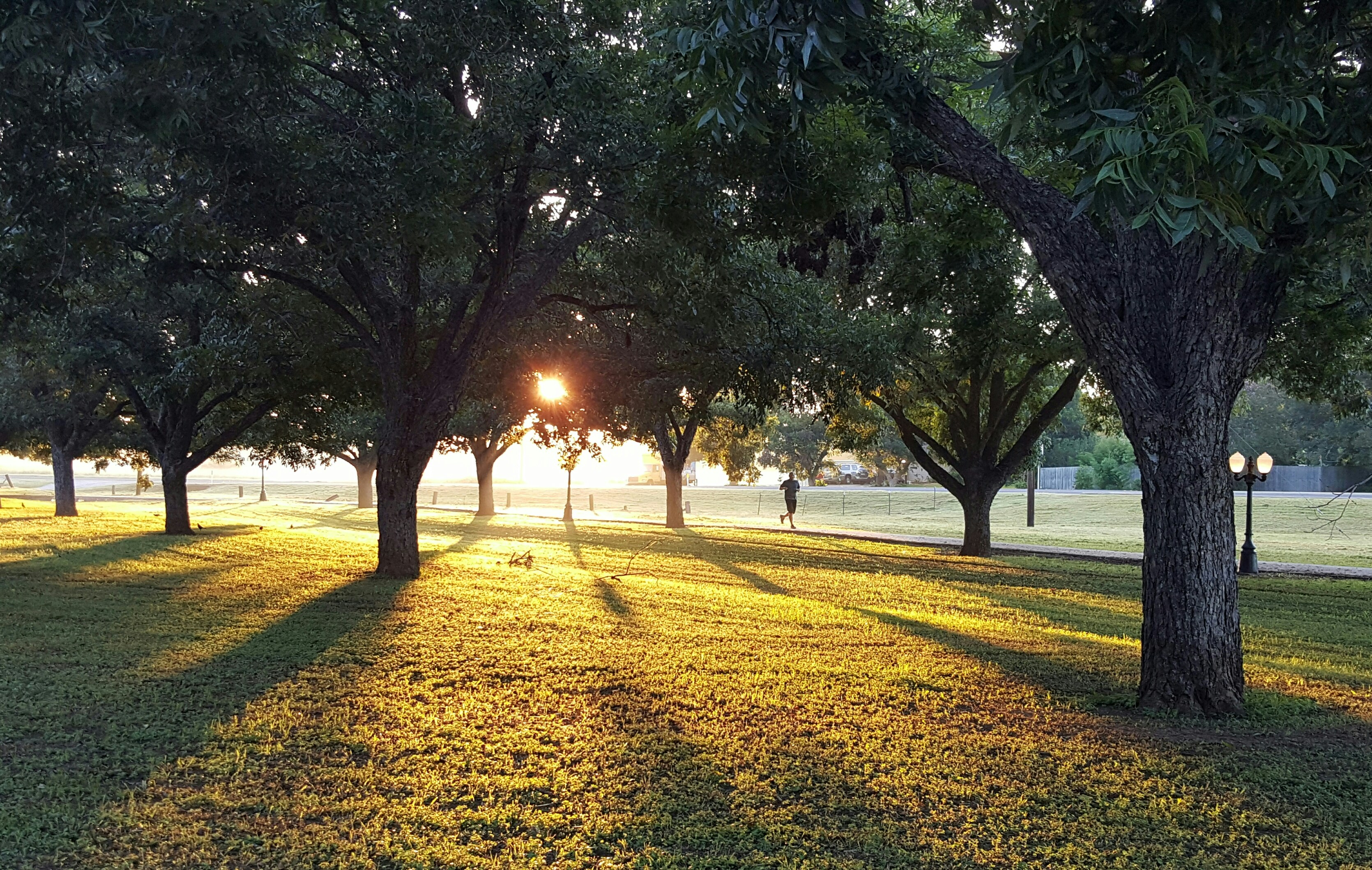 park run