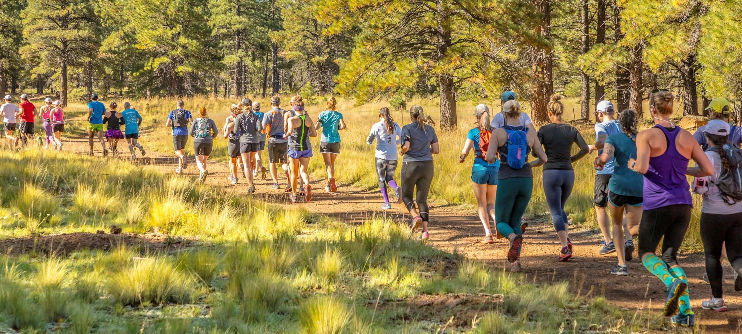 Flagstaff Marathon, Half Marathon & 10K course in Flagstaff, AZ