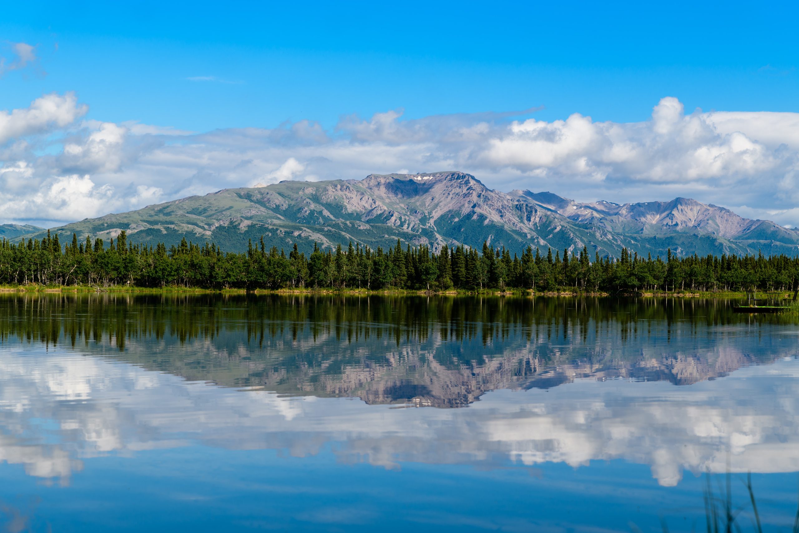 Alaska Half Marathons