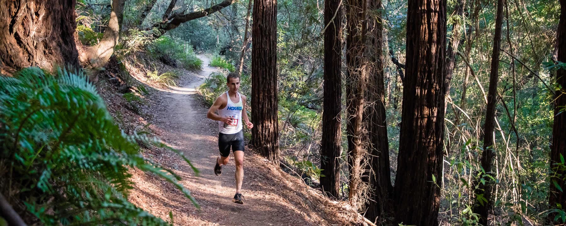 Oakland Hills Trail Run 35k, Half Marathon, & 10k course in Oakland, CA