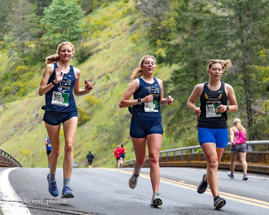 Avenue of the Giants Half Marathon