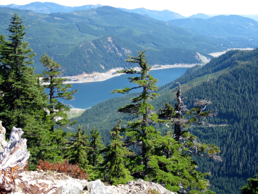 Jack and Jill’s Downhill Marathon in North Bend, WA