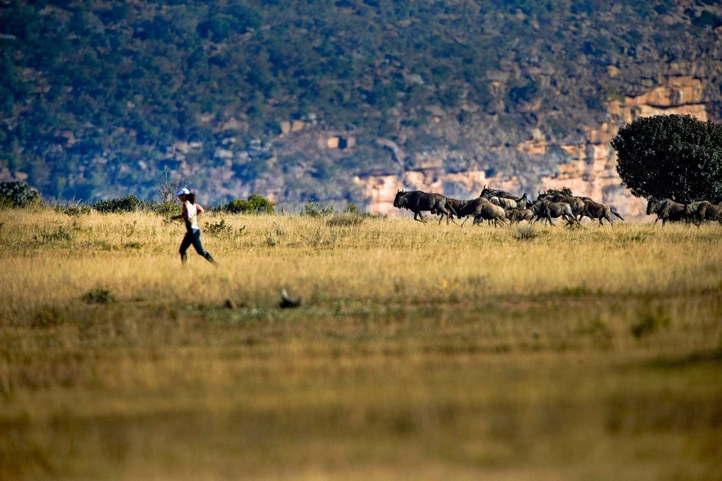 The Big Five Marathon- Entabeni, South Africa