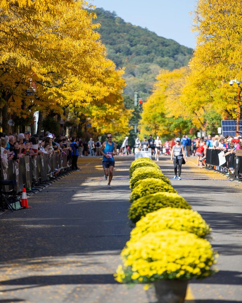 Wineglass Half Marathon