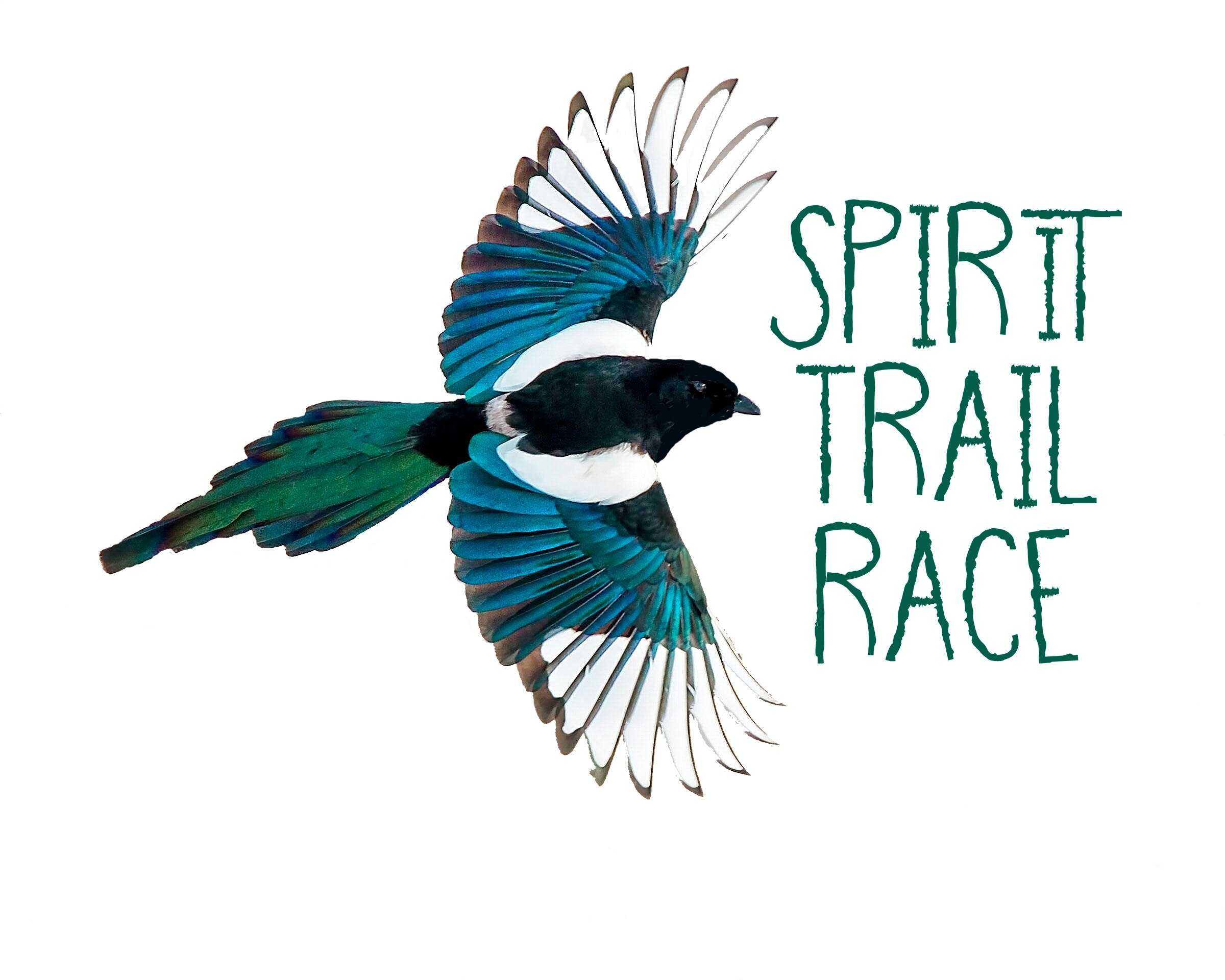 Spirit Trail Run Marathon Half Marathon & 8k logo