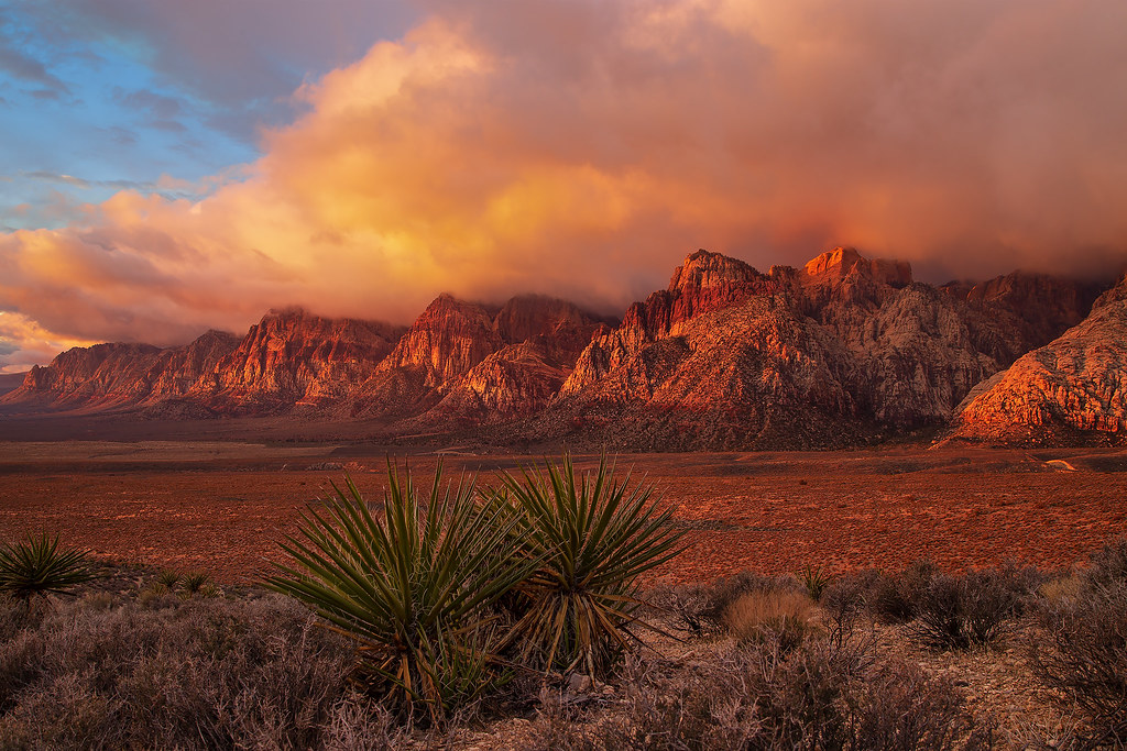 Twilight Red Rock Half Marathon