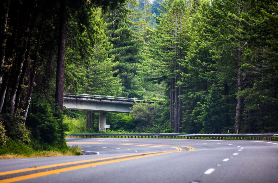 Humboldt Redwoods Half Marathon & 5K